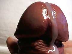 La chatte et les seins video sex femme noir de ma femme sexy s'amusent tellement