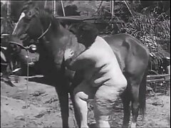 Soixante neuf video erotique a la ferme