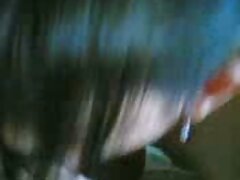 les video hd erotique frères voyagent (hollande)
